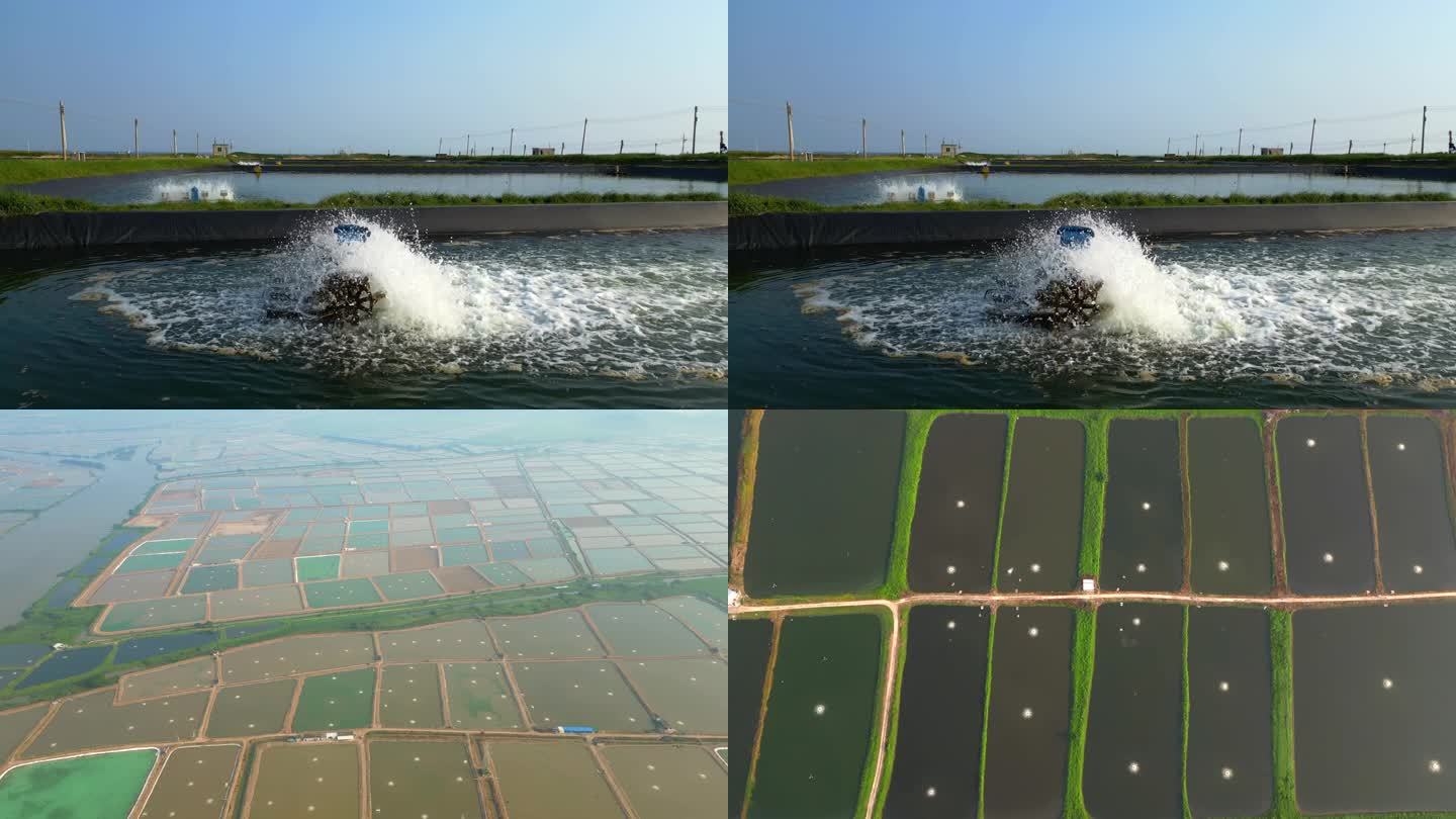 海产品养殖基地打氧机增氧泵_3840X2160_高清视频素材下载(编号:9145647)_实拍视频_光厂(VJ师网) www.vjshi.com