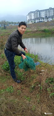 洞庭湖畔 虾苗日赚超过千元,又是一年养虾时