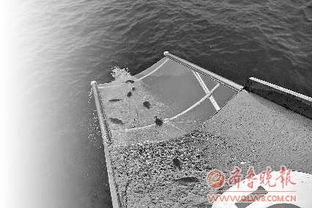 海产品减产17 山东启动渔业资源修复行动计划