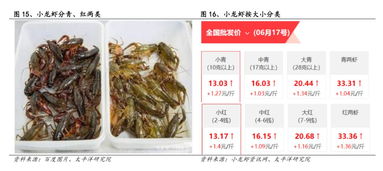 安井 国联水产 5家企业入局,谁是a股小龙虾之王