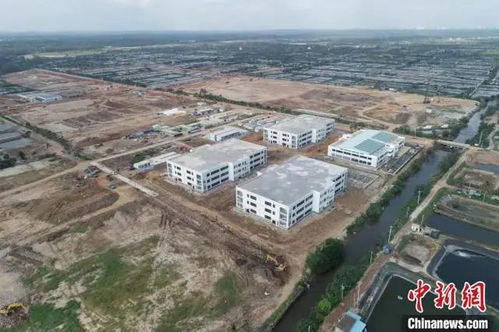 文昌冯家湾 鱼虾螺“上楼”引领水产养殖业向集约化工厂化智能化迈进