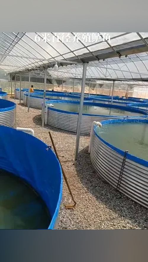 帆布鱼池开启农村水产养殖新篇章 工厂化养虾助您创业成功